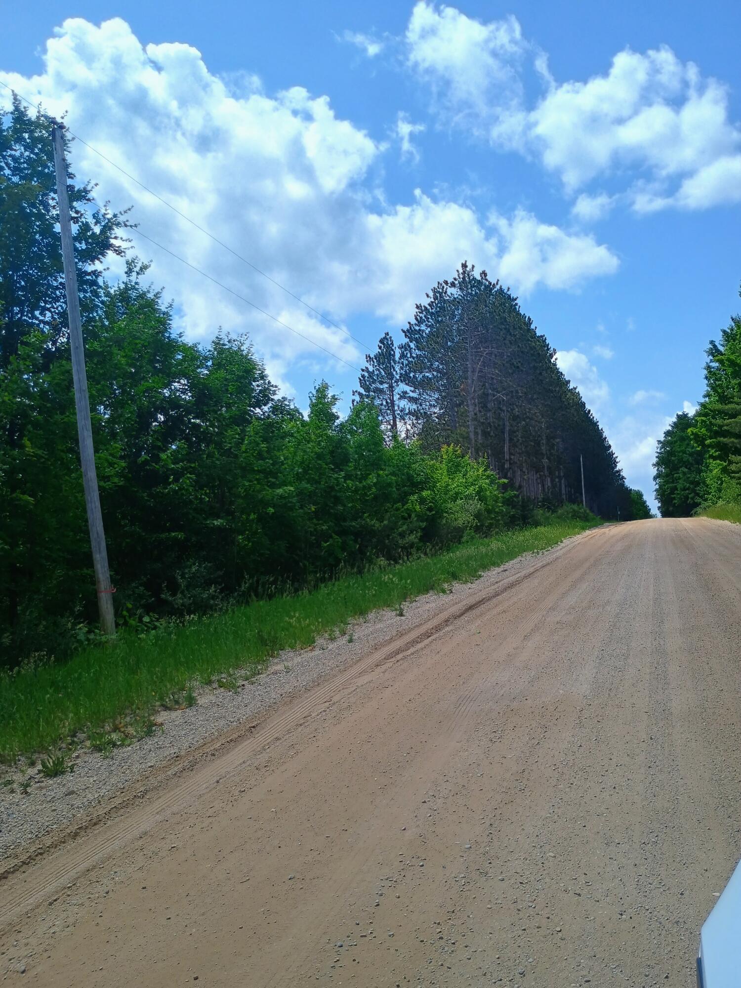 0 Pontius Road Southeast Kalkaska, MI 49646 - Photo 3 of 4 1000008042