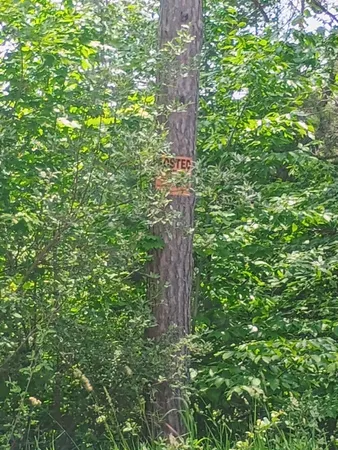 $90,000 | 0 Pontius Road Southeast, Kalkaska, MI 49646