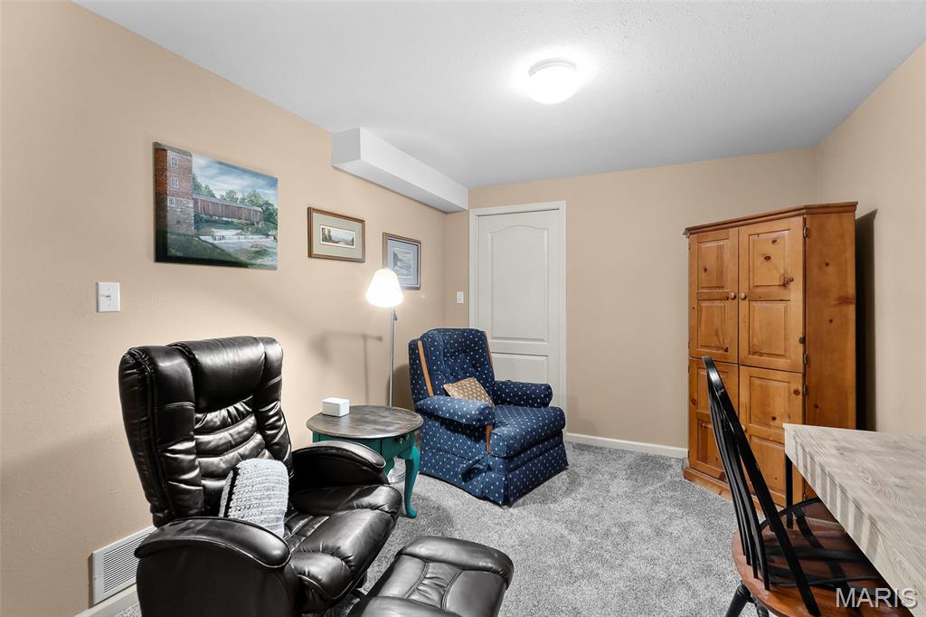 2751 Ridgeway Drive Jackson, MO 63755 - Photo 31 of 32