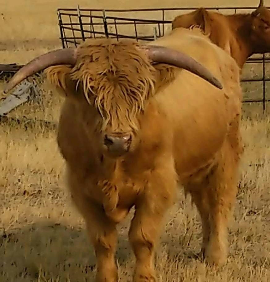 234 Forked Branch Road Evanston, WY 82930 - Photo 34 of 45