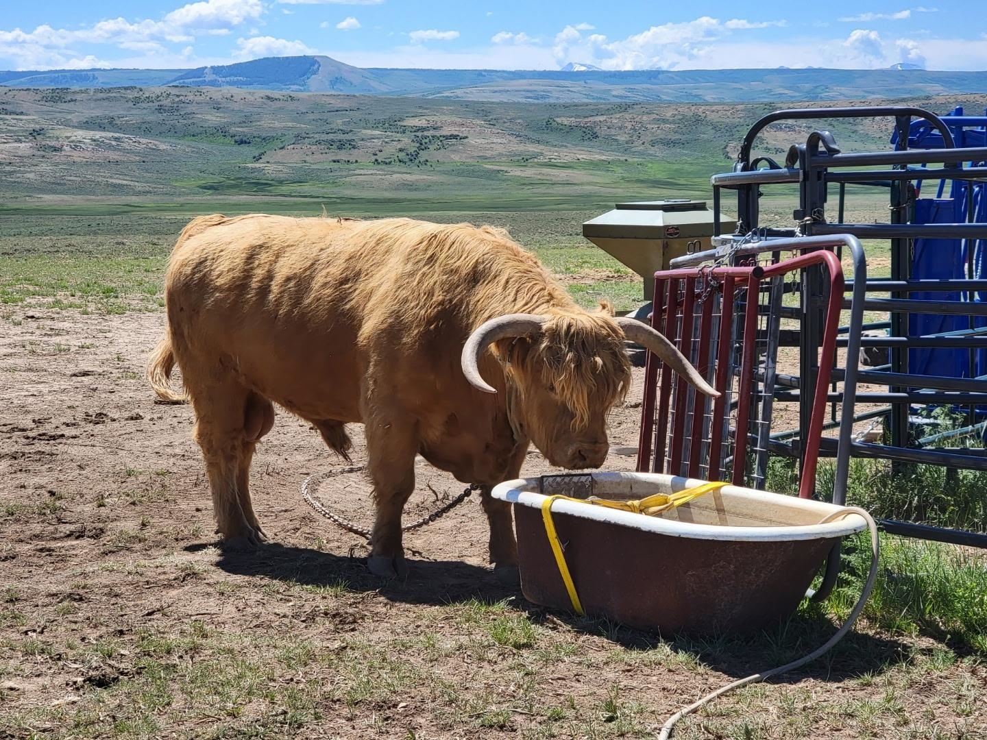 234 Forked Branch Road Evanston, WY 82930 - Photo 35 of 45