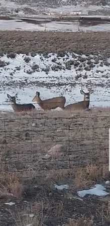 $550,000 | 234 Forked Branch Road, Evanston, WY 82930