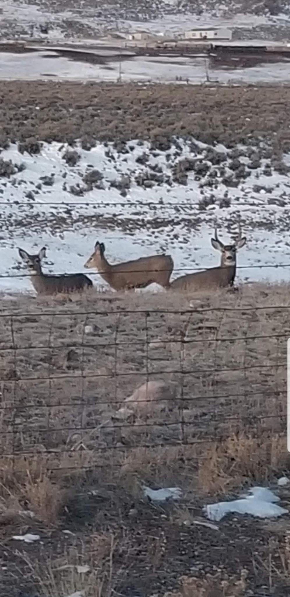 234 Forked Branch Road Evanston, WY 82930 - Photo 36 of 45