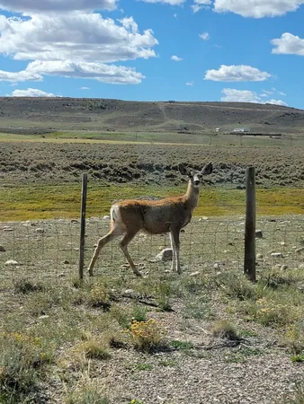 $550,000 | 234 Forked Branch Road, Evanston, WY 82930
