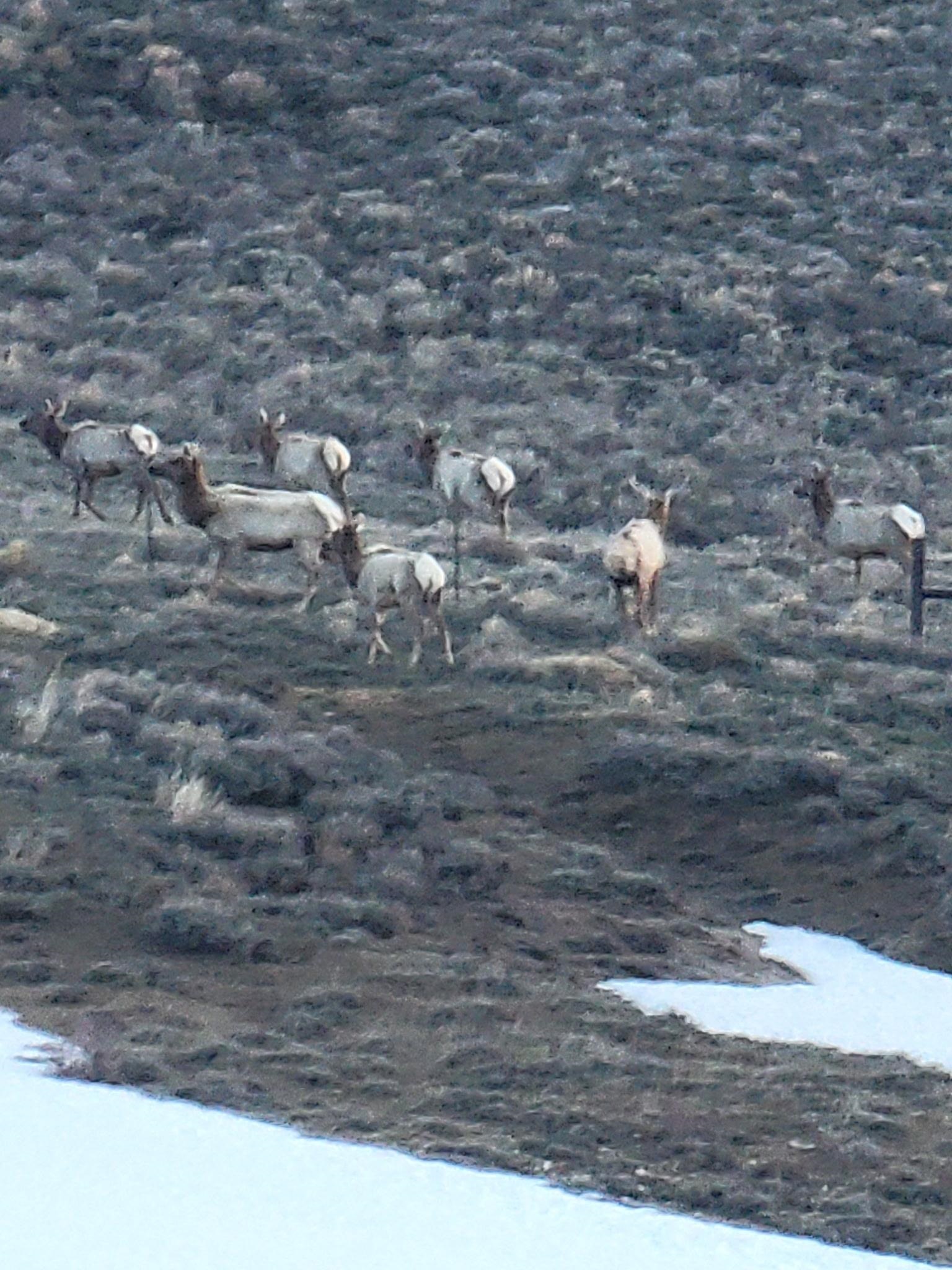 234 Forked Branch Road Evanston, WY 82930 - Photo 38 of 45