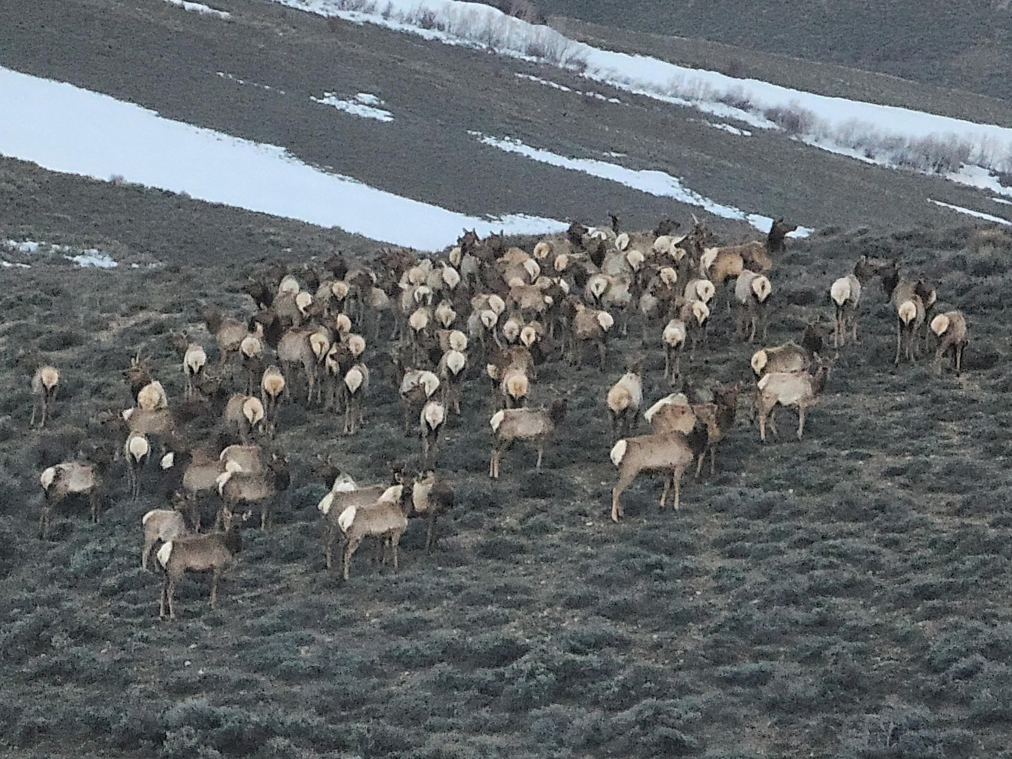 234 Forked Branch Road Evanston, WY 82930 - Photo 39 of 45