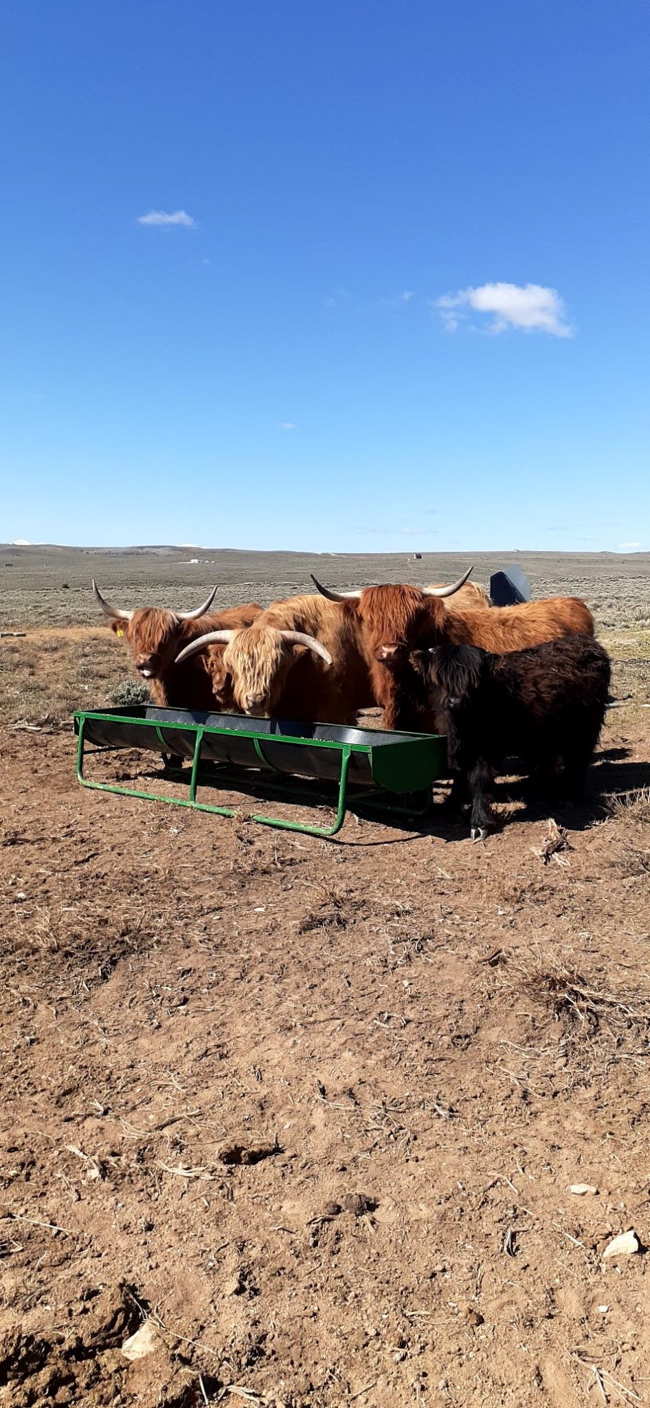 234 Forked Branch Road Evanston, WY 82930 - Photo 40 of 45