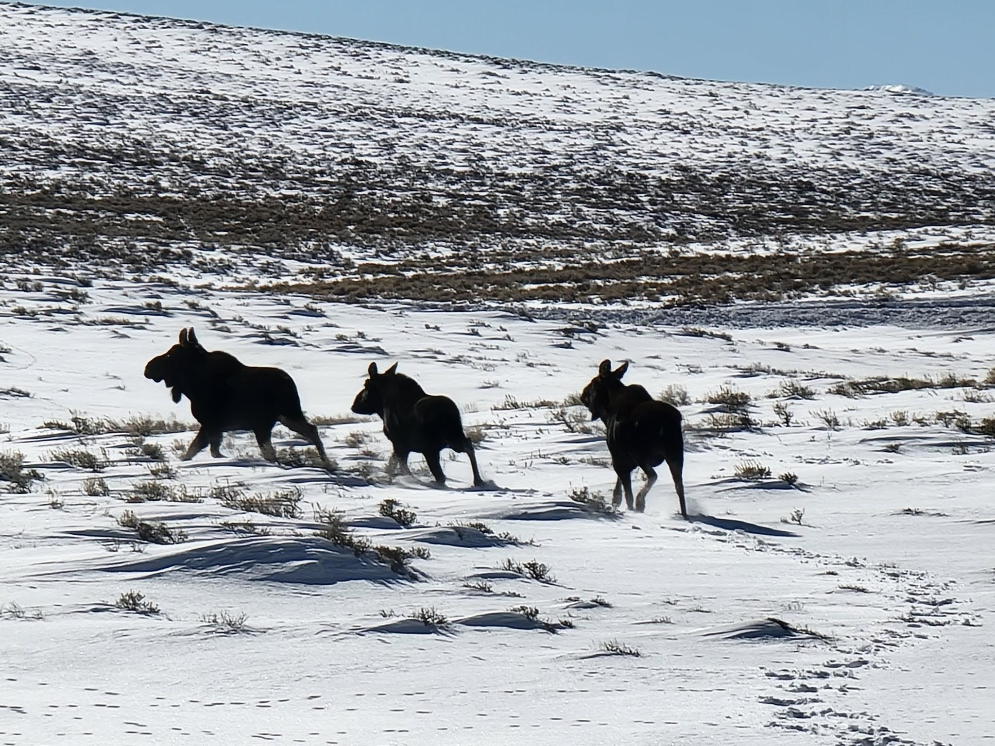 234 Forked Branch Road Evanston, WY 82930 - Photo 41 of 45