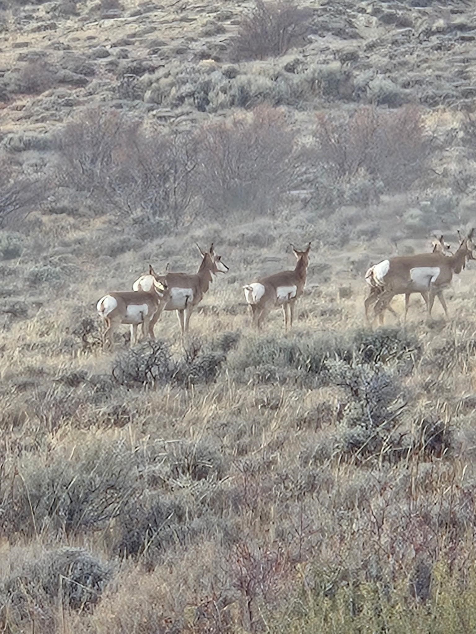 234 Forked Branch Road Evanston, WY 82930 - Photo 44 of 45