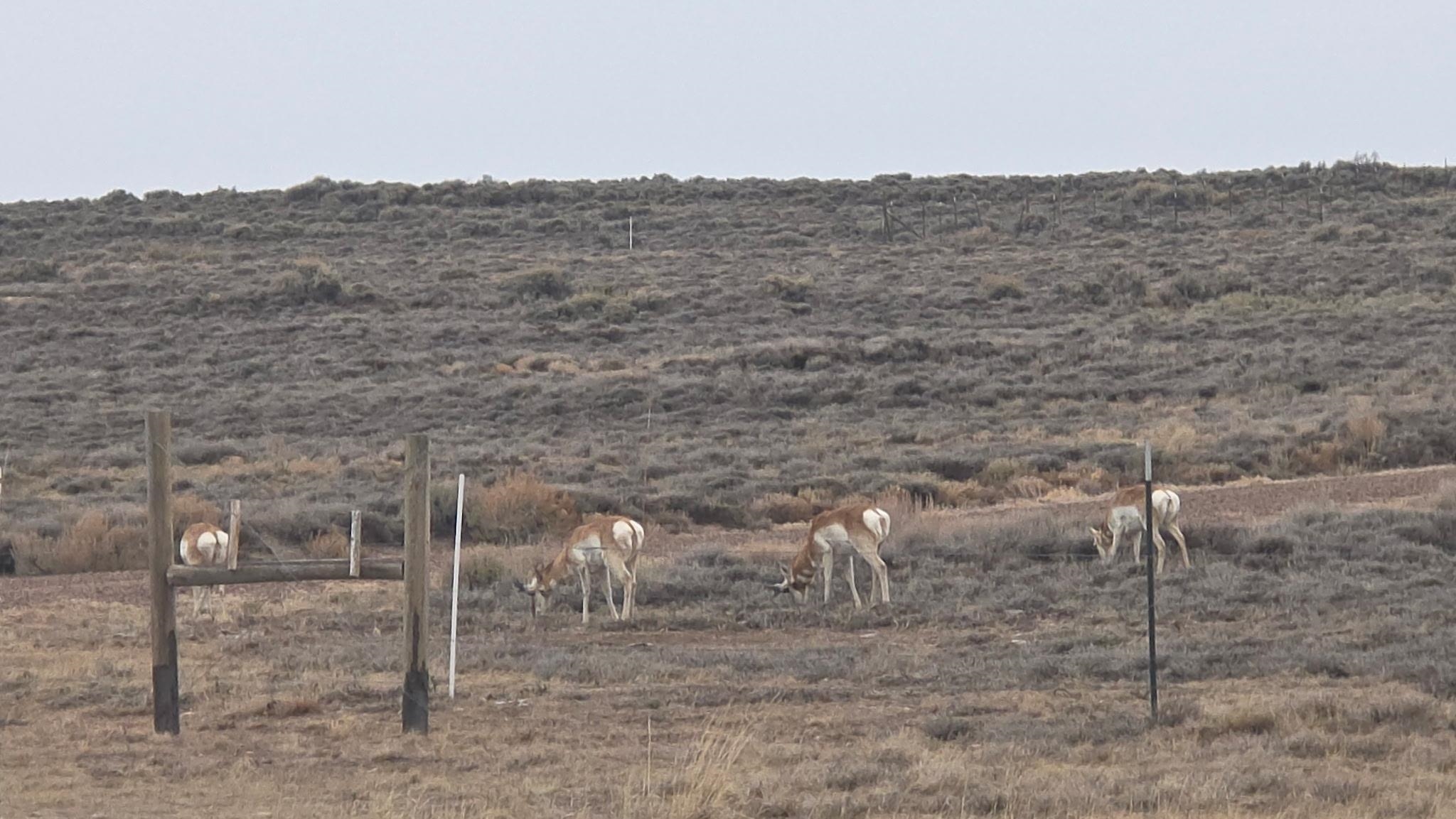 234 Forked Branch Road Evanston, WY 82930 - Photo 45 of 45