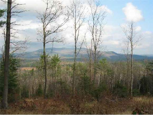 Lot # 16 Granite Hill Road Wilmot, NH 03287 - Photo 1 of 1