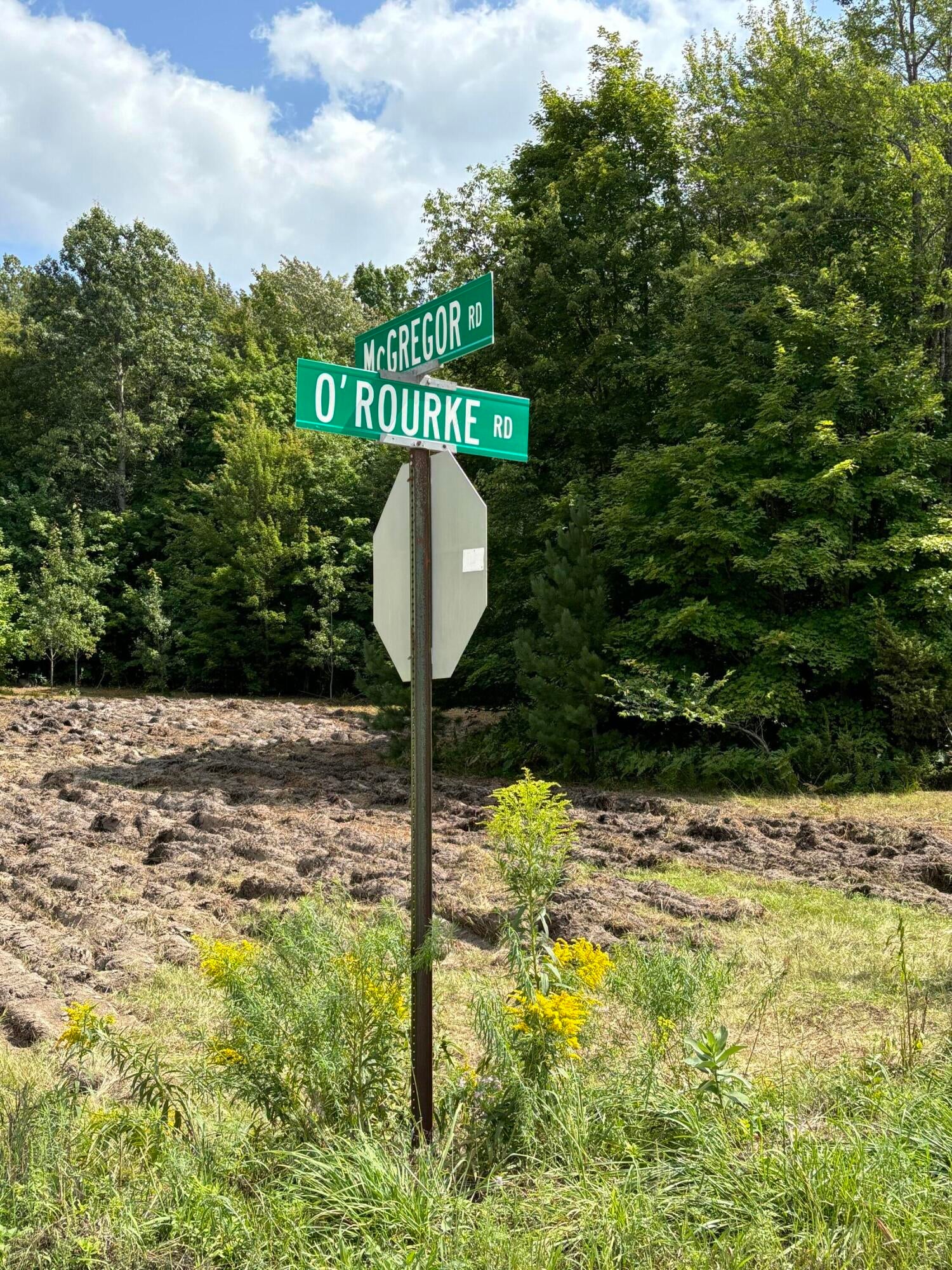 1637 McGregor Road Vanderbilt, MI 49795 - Photo 5 of 40 Gallery Image 5