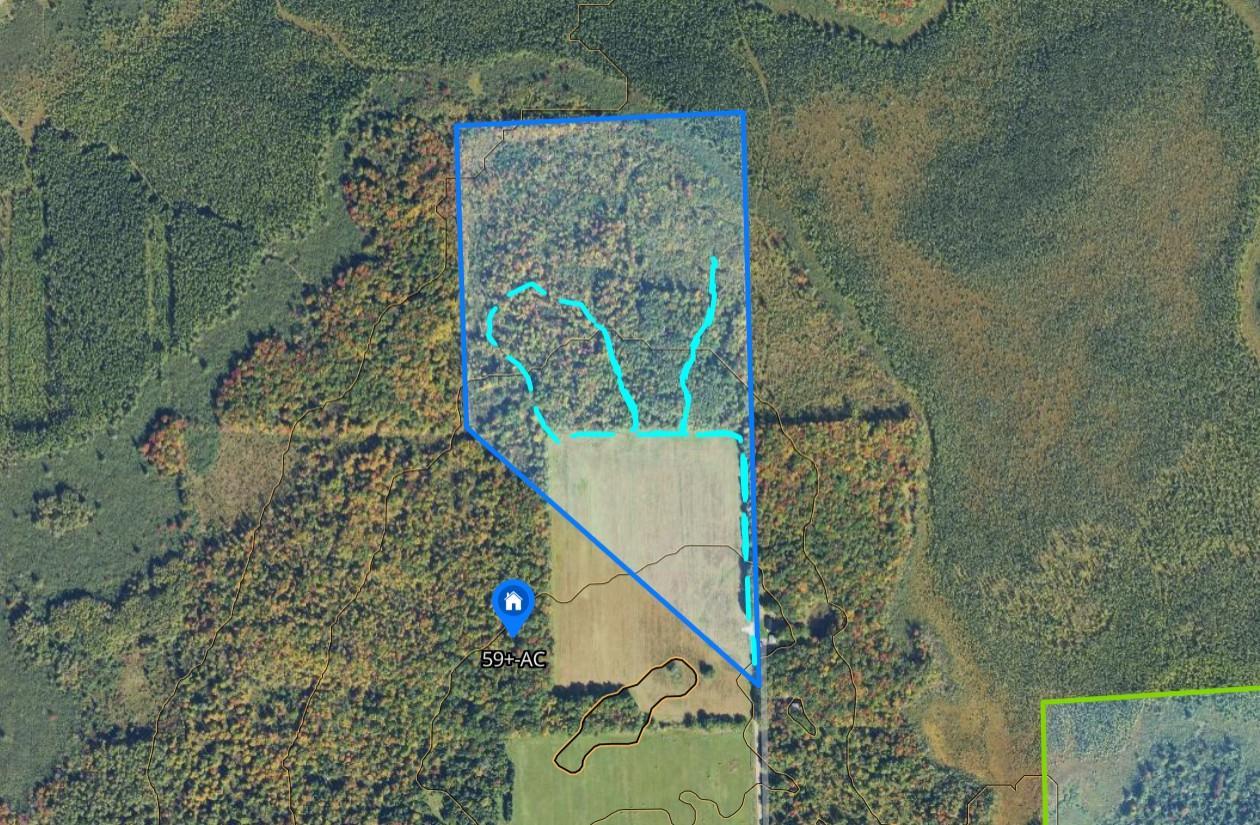 Tbd Schalk Road Ogema, WI 54459 - Photo 11 of 23