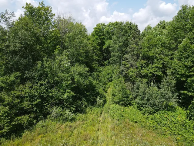 $199,900 | Tbd Schalk Road, Ogema, WI 54459