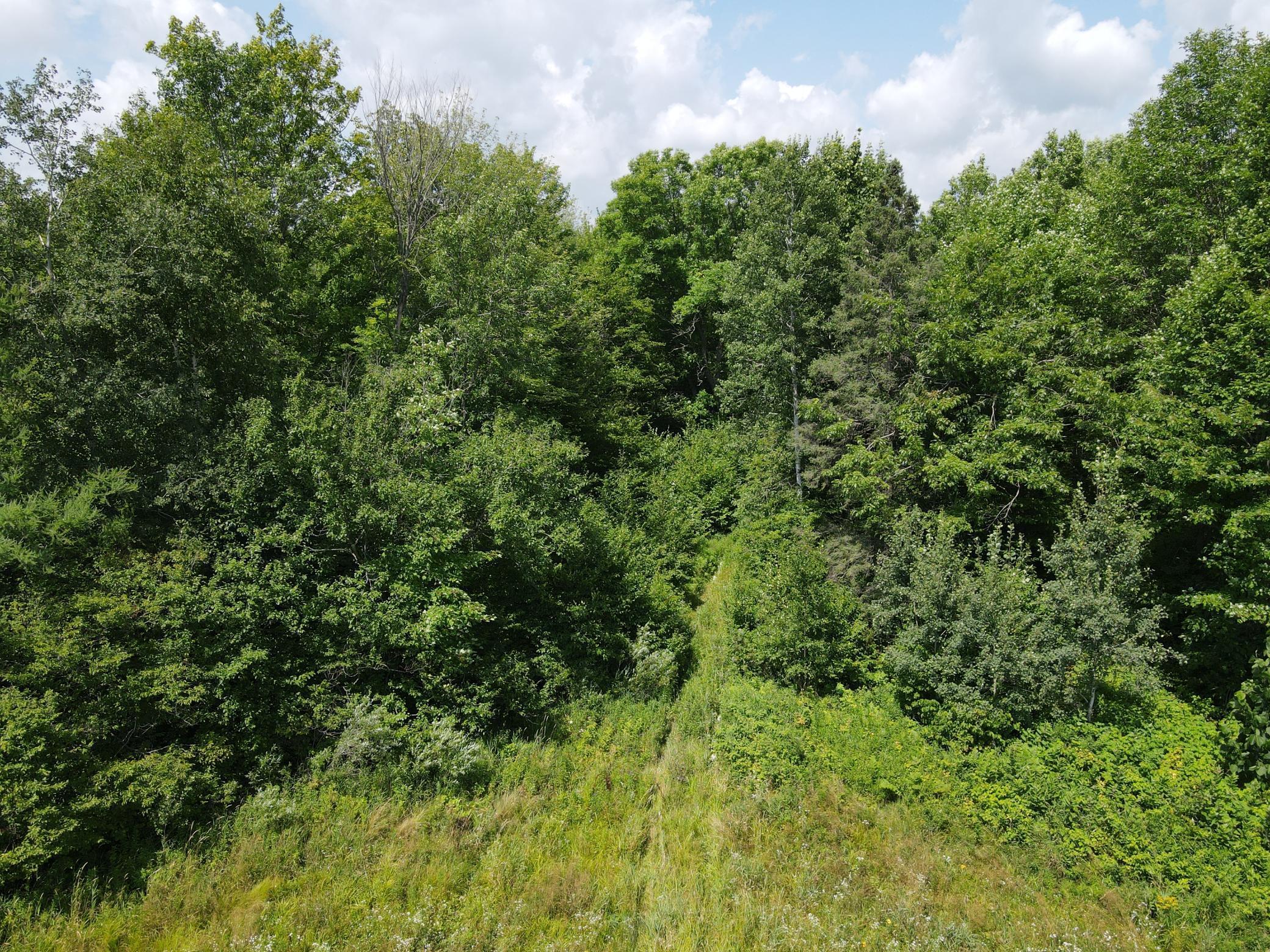 Tbd Schalk Road Ogema, WI 54459 - Photo 15 of 23