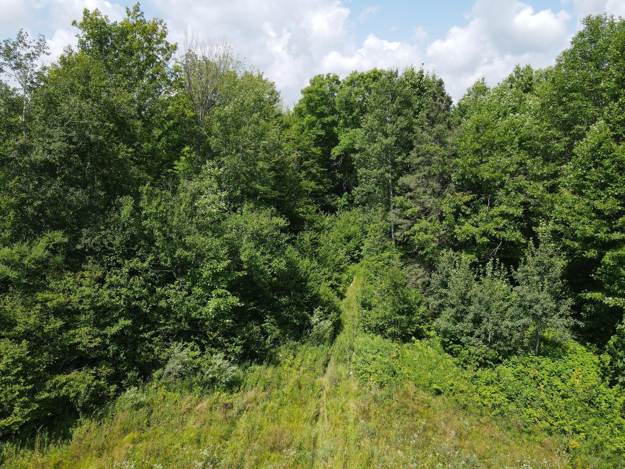 Tbd Schalk Road Ogema, WI 54459 - Photo 15 of 23