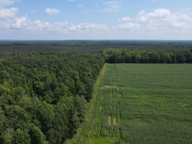 $199,900 | Tbd Schalk Road, Ogema, WI 54459