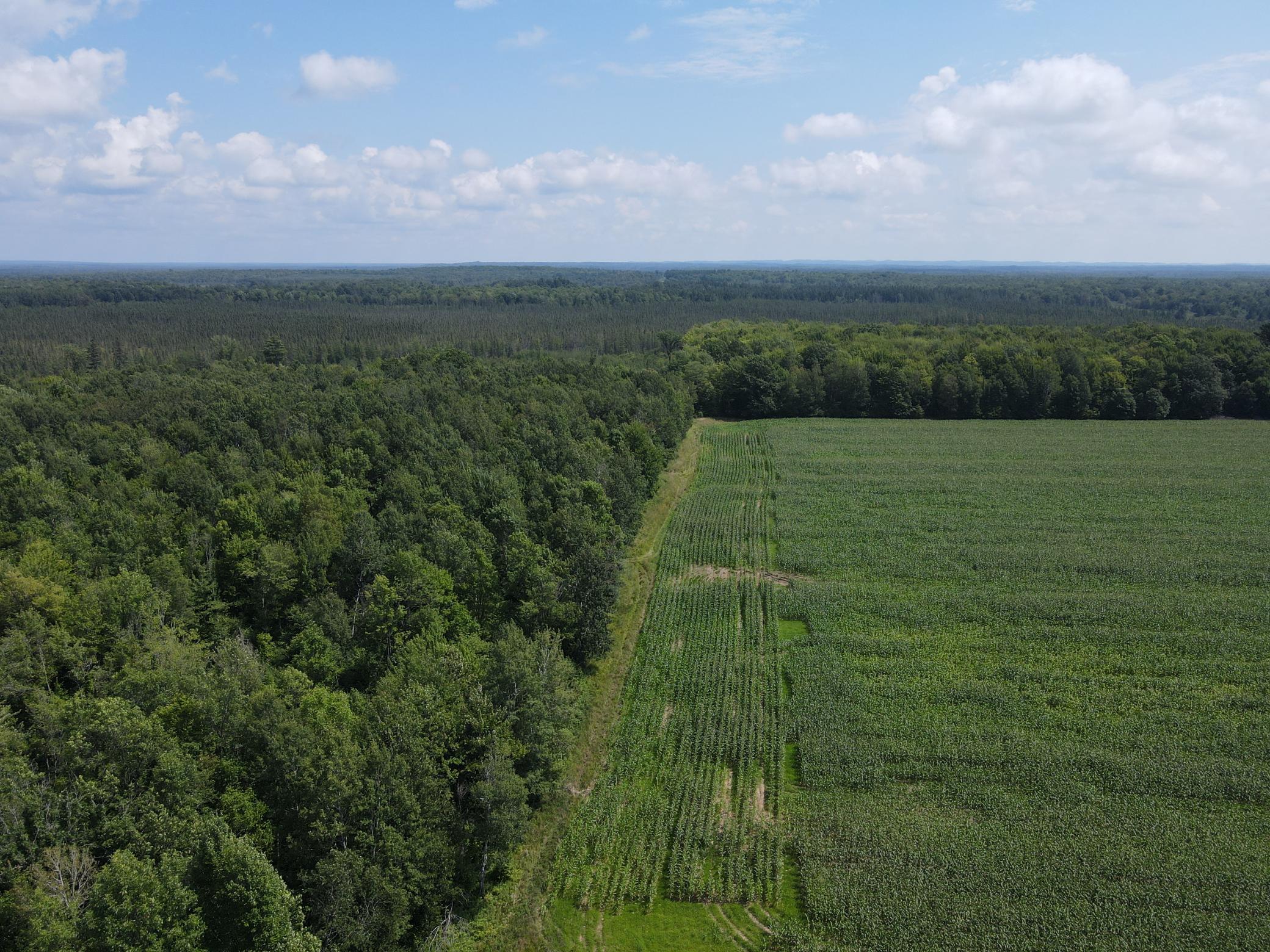 Tbd Schalk Road Ogema, WI 54459 - Photo 16 of 23