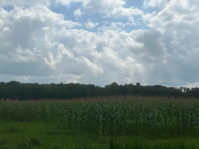 $199,900 | Tbd Schalk Road, Ogema, WI 54459