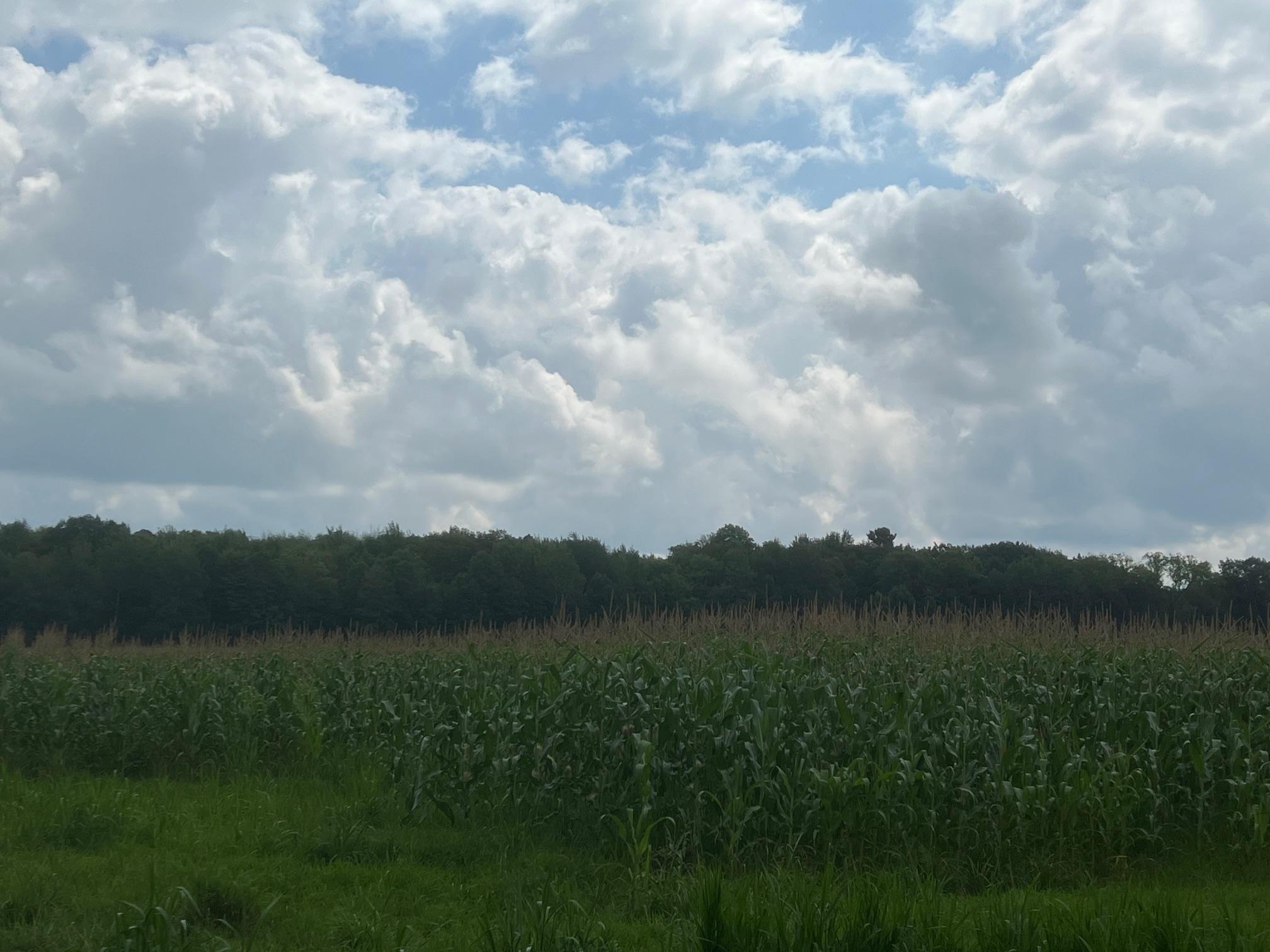 Tbd Schalk Road Ogema, WI 54459 - Photo 17 of 23