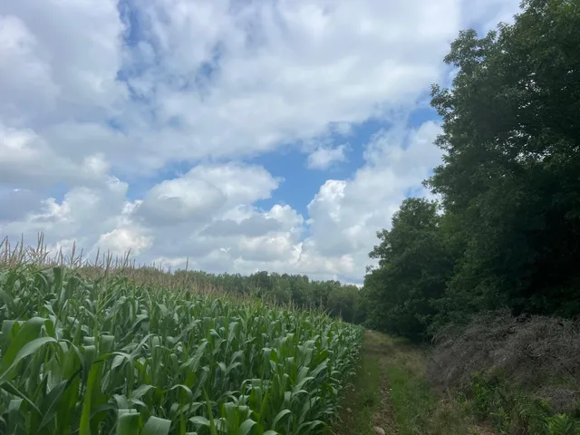 $199,900 | Tbd Schalk Road, Ogema, WI 54459