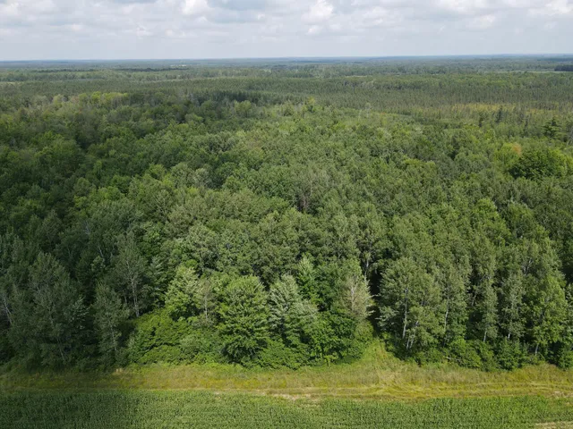 $199,900 | Tbd Schalk Road, Ogema, WI 54459