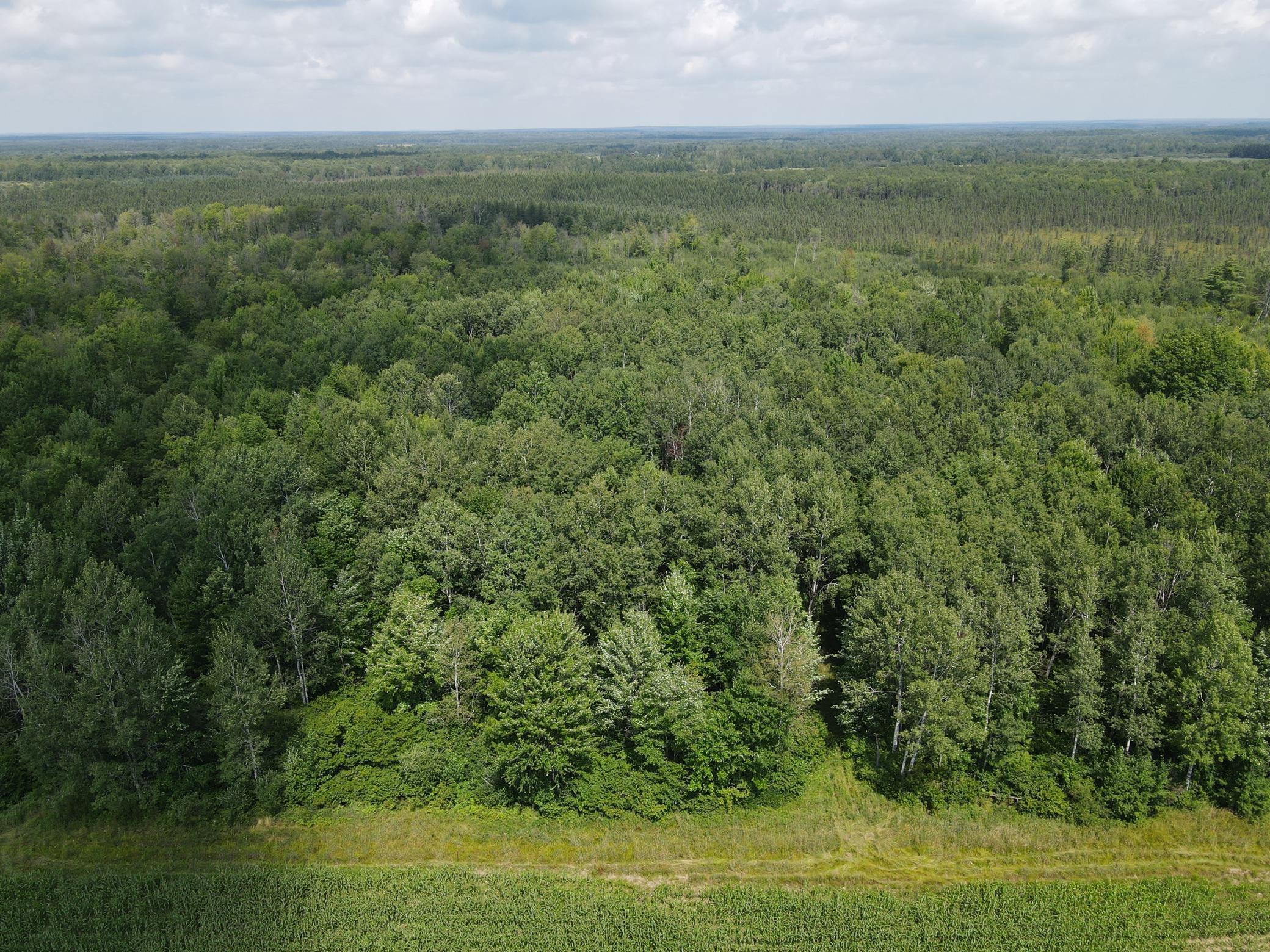 Tbd Schalk Road Ogema, WI 54459 - Photo 19 of 23