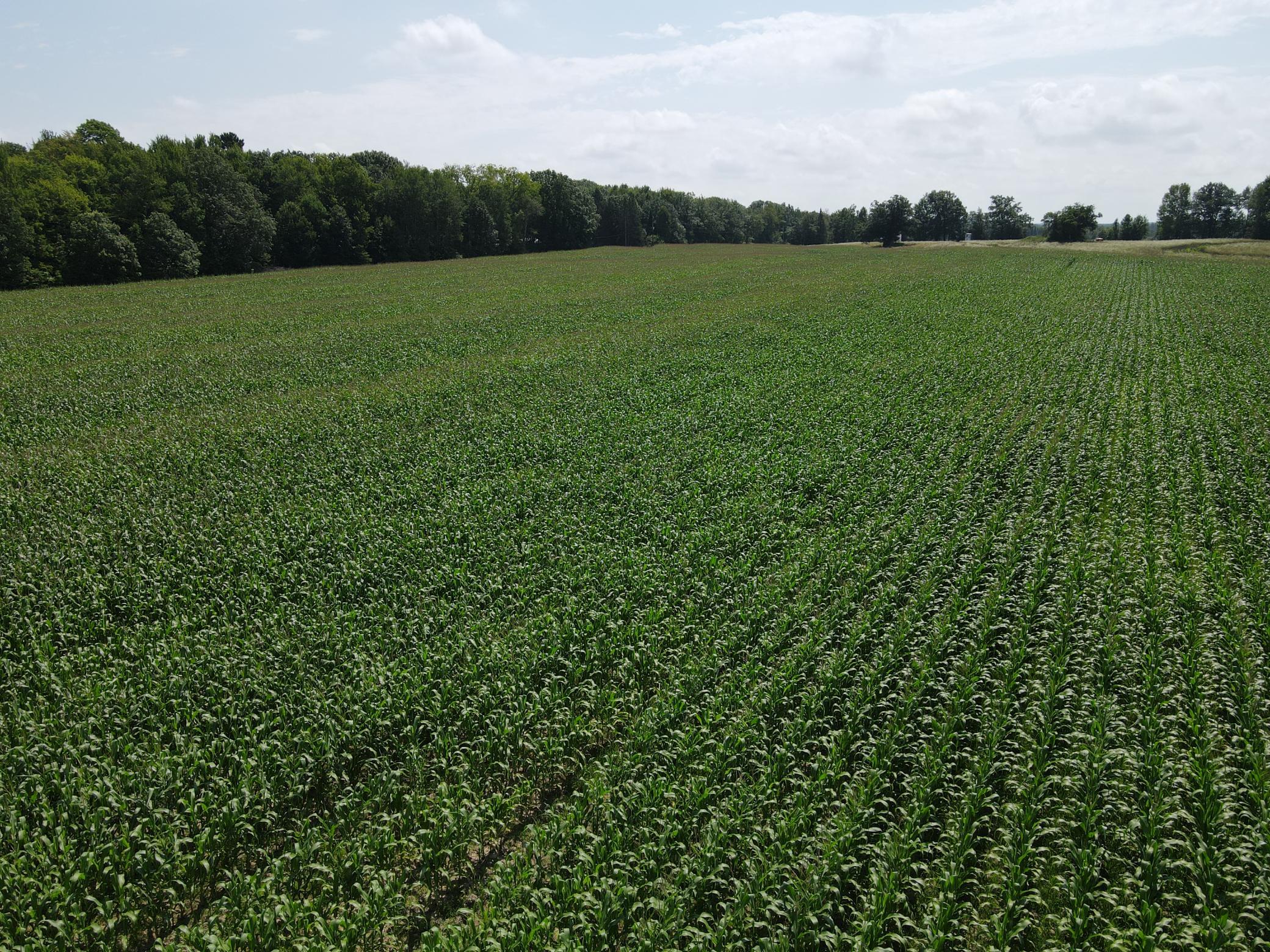 Tbd Schalk Road Ogema, WI 54459 - Photo 20 of 23