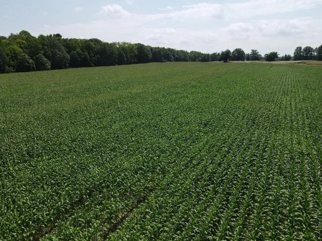 $199,900 | Tbd Schalk Road, Ogema, WI 54459