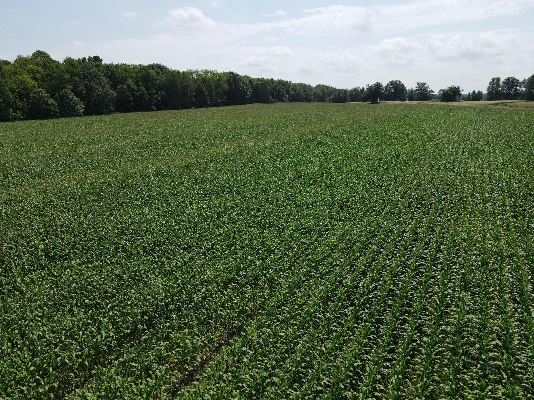 Tbd Schalk Road Ogema, WI 54459 - Photo 20 of 23