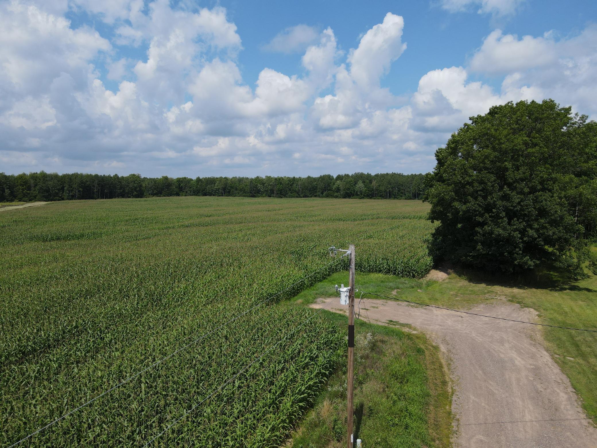 Tbd Schalk Road Ogema, WI 54459 - Photo 2 of 23