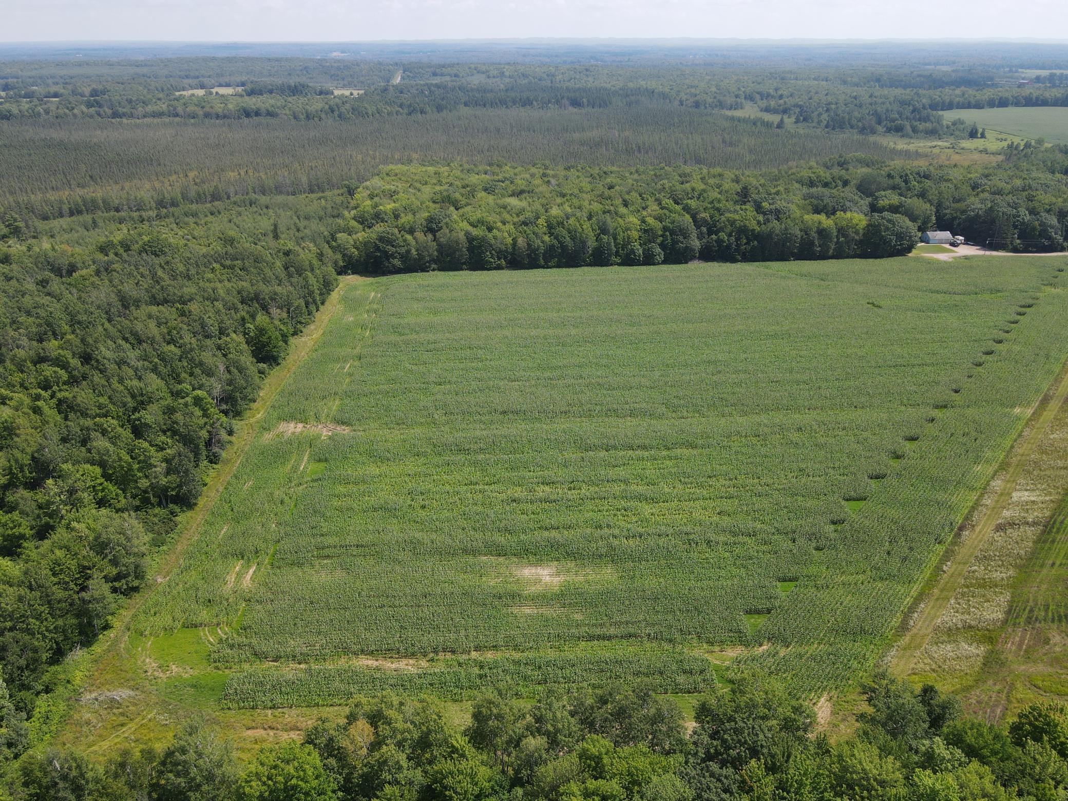 Tbd Schalk Road Ogema, WI 54459 - Photo 21 of 23