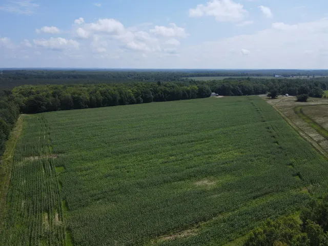 $199,900 | Tbd Schalk Road, Ogema, WI 54459