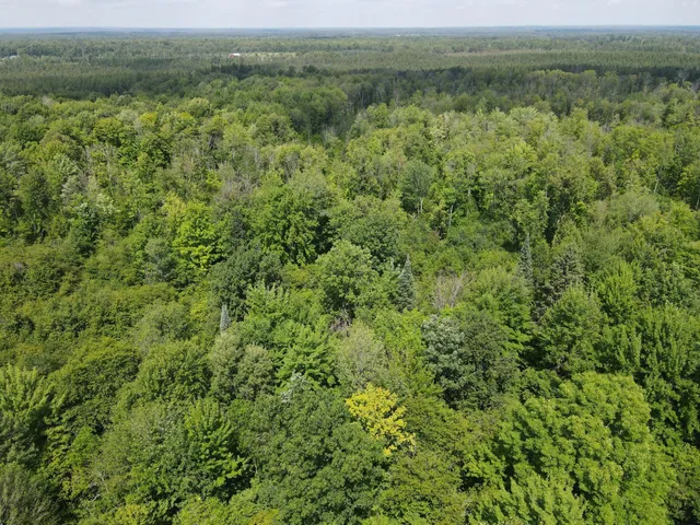 $199,900 | Tbd Schalk Road, Ogema, WI 54459