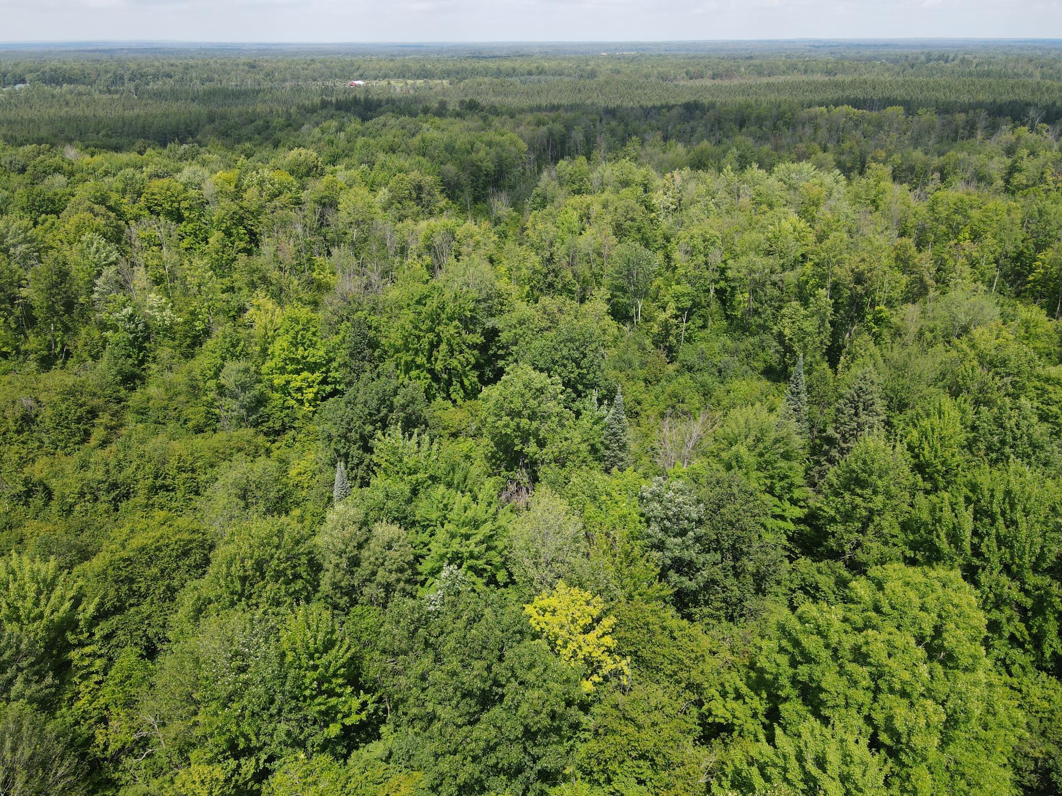 Tbd Schalk Road Ogema, WI 54459 - Photo 23 of 23