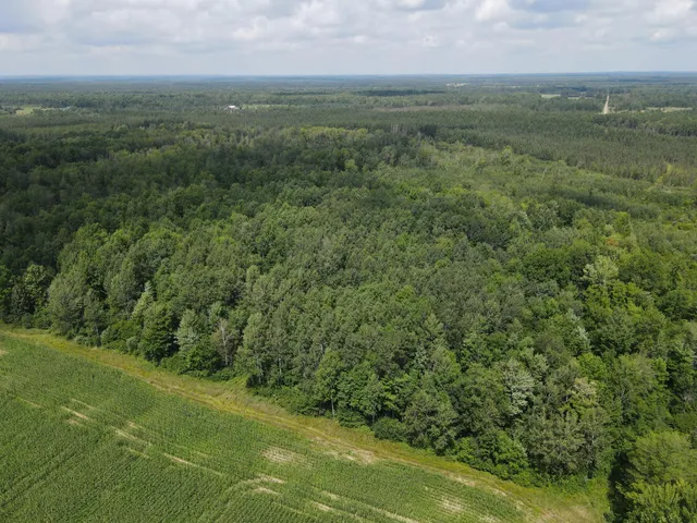 $199,900 | Tbd Schalk Road, Ogema, WI 54459