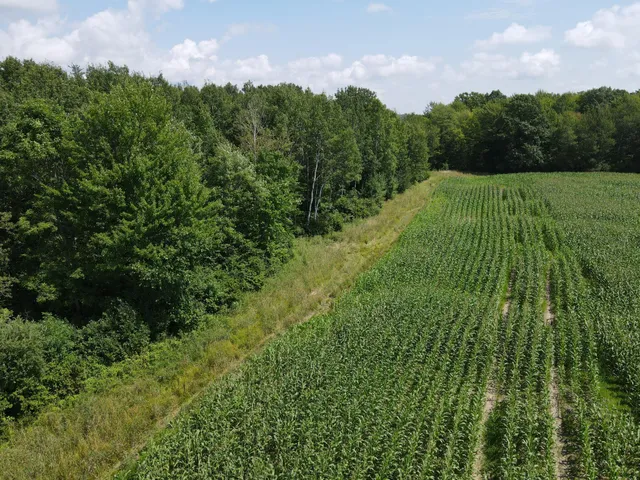 $199,900 | Tbd Schalk Road, Ogema, WI 54459