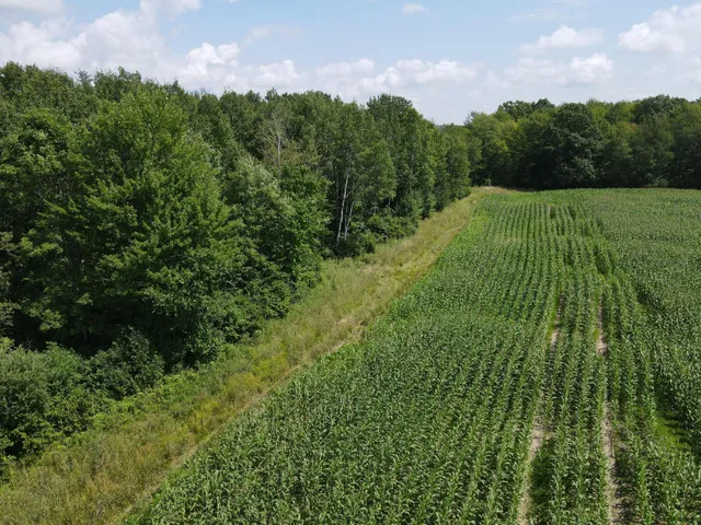 $199,900 | Tbd Schalk Road, Ogema, WI 54459