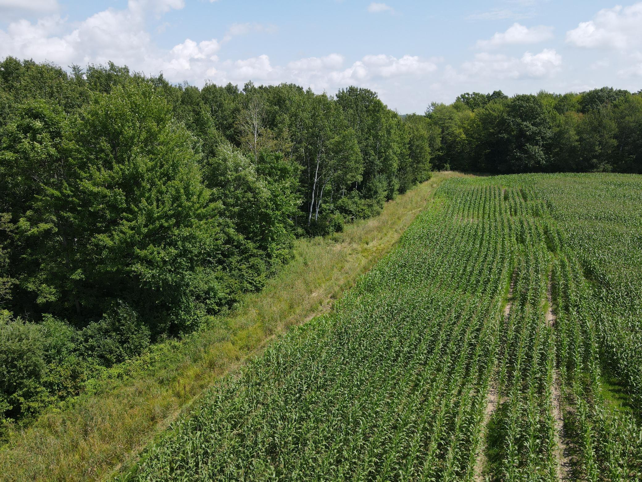 Tbd Schalk Road Ogema, WI 54459 - Photo 4 of 23