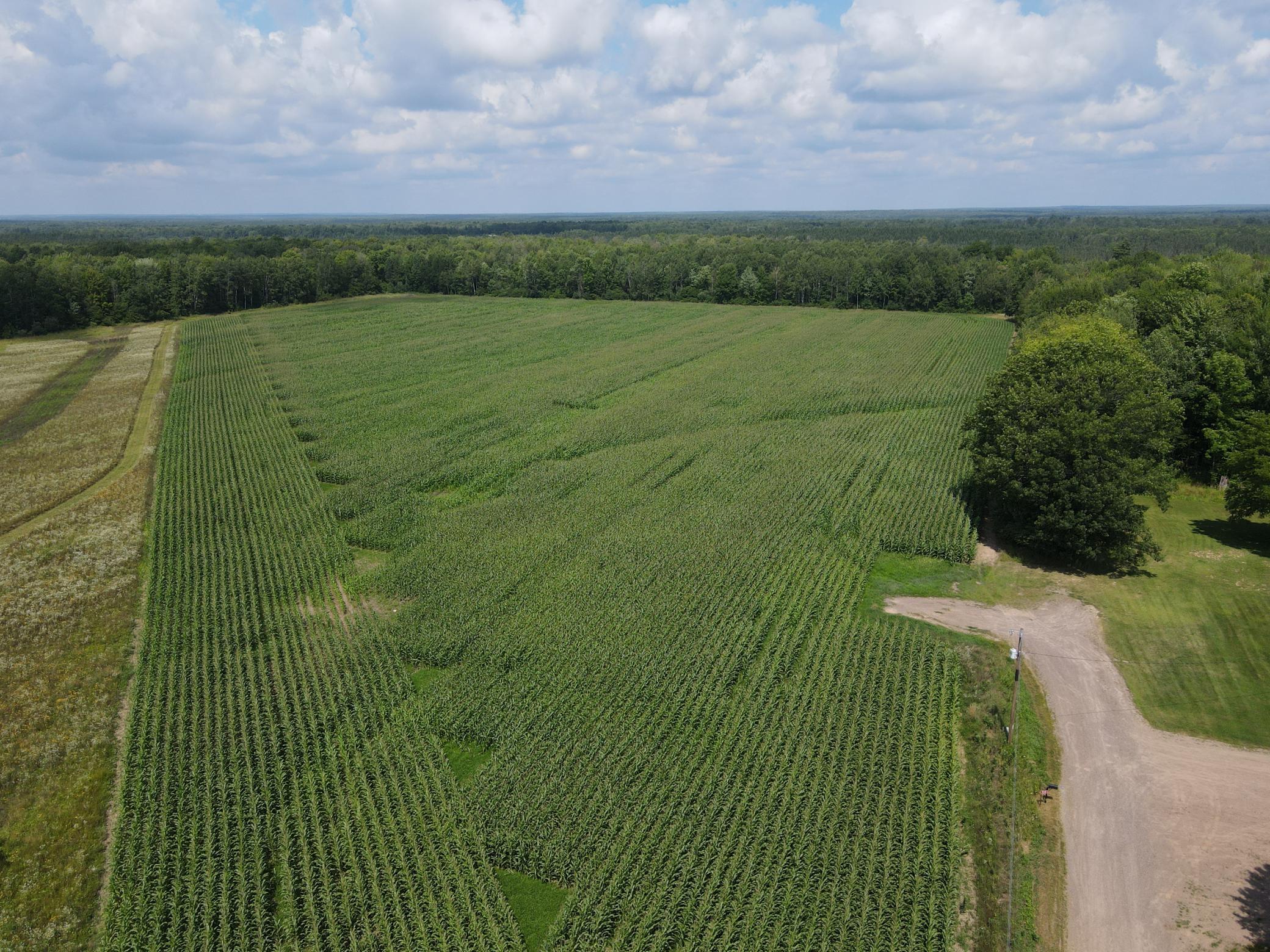 Tbd Schalk Road Ogema, WI 54459 - Photo 5 of 23