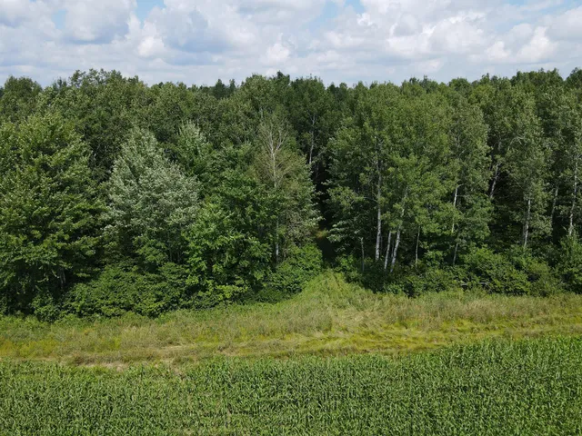 $199,900 | Tbd Schalk Road, Ogema, WI 54459