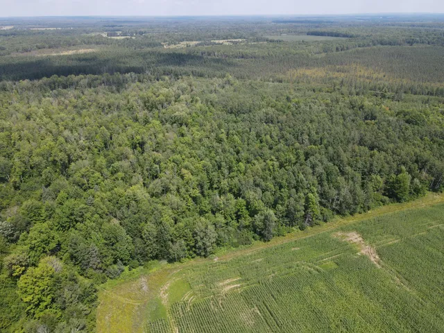 $199,900 | Tbd Schalk Road, Ogema, WI 54459