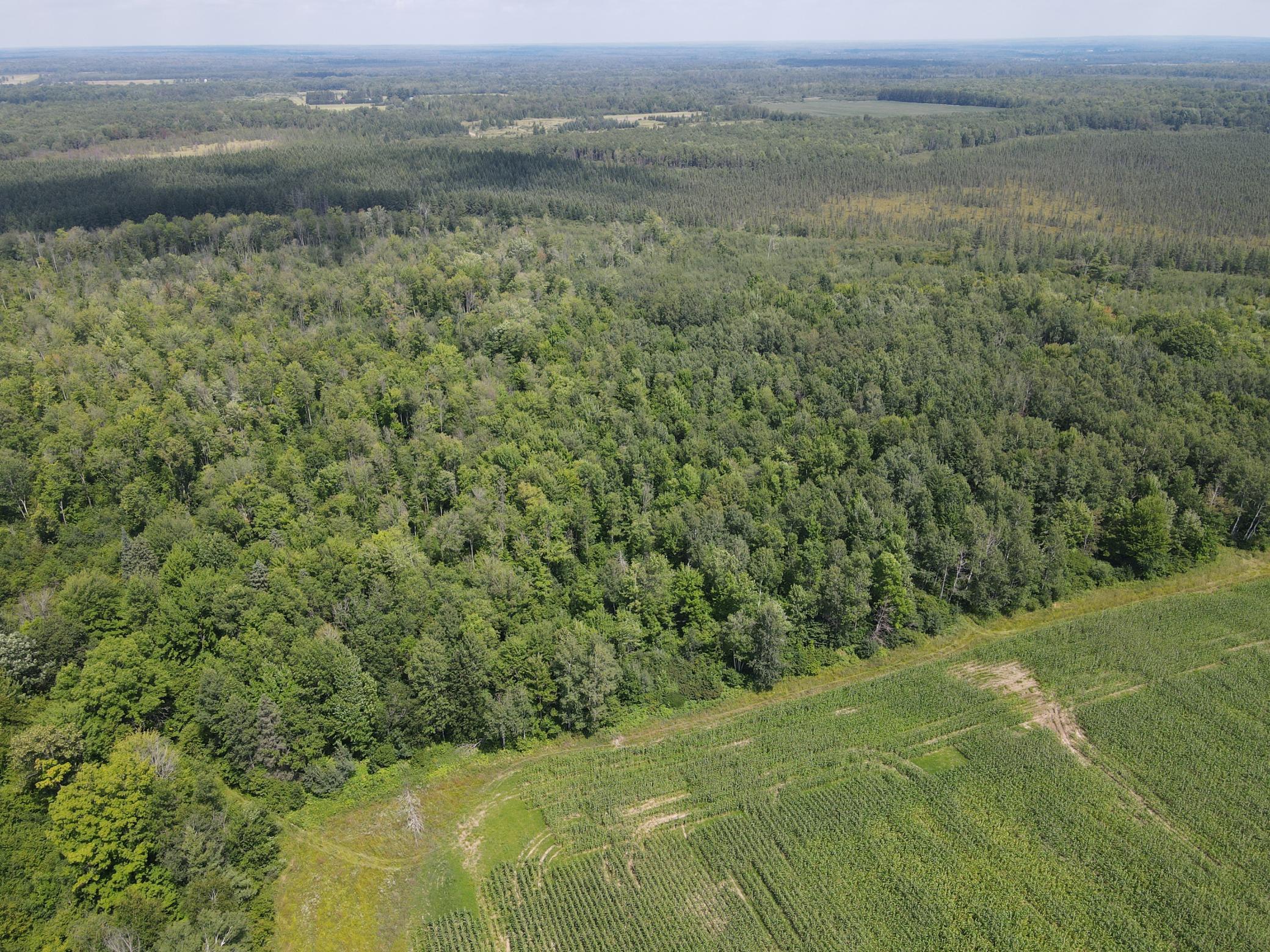 Tbd Schalk Road Ogema, WI 54459 - Photo 7 of 23