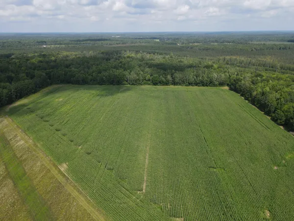 $189,900 | Tbd Schalk Road, Ogema, WI 54459