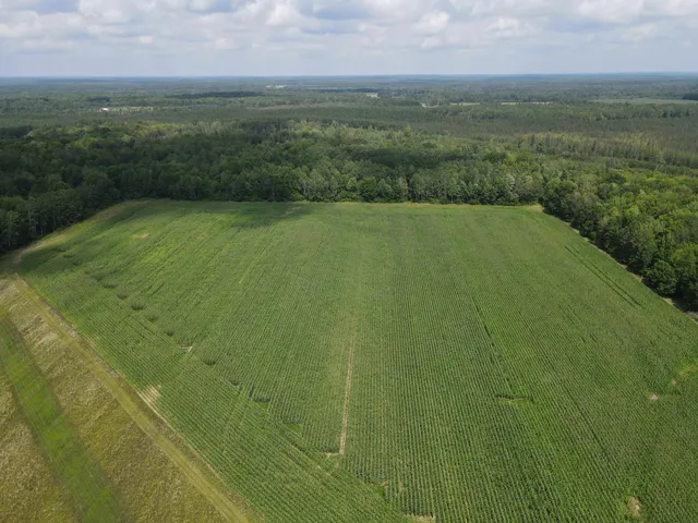 $199,900 | Tbd Schalk Road, Ogema, WI 54459