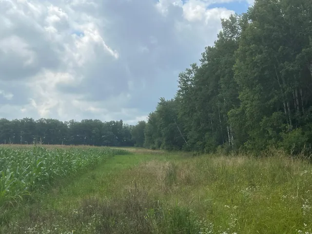 $199,900 | Tbd Schalk Road, Ogema, WI 54459