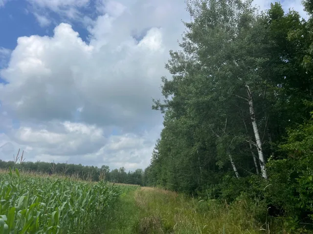 $199,900 | Tbd Schalk Road, Ogema, WI 54459