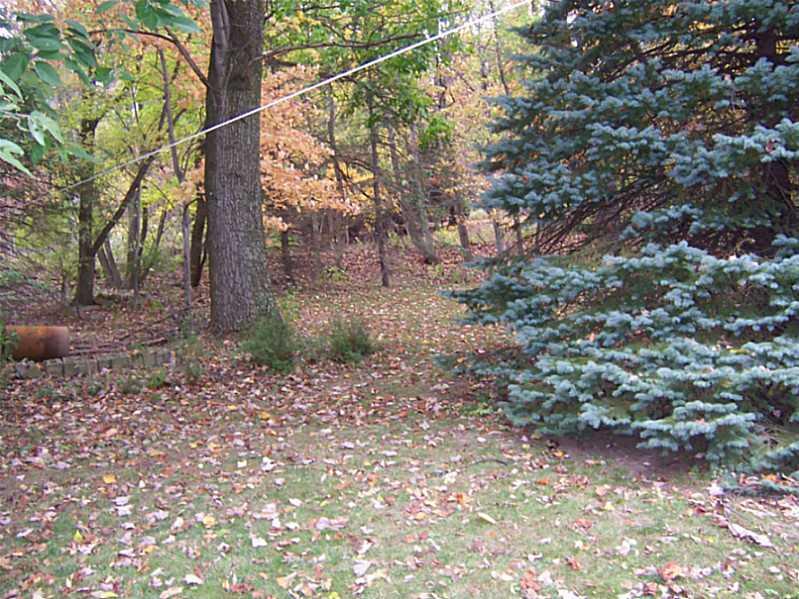 1825 Water Indiana, PA 15701 - Photo 9 of 11 Land/Lot.