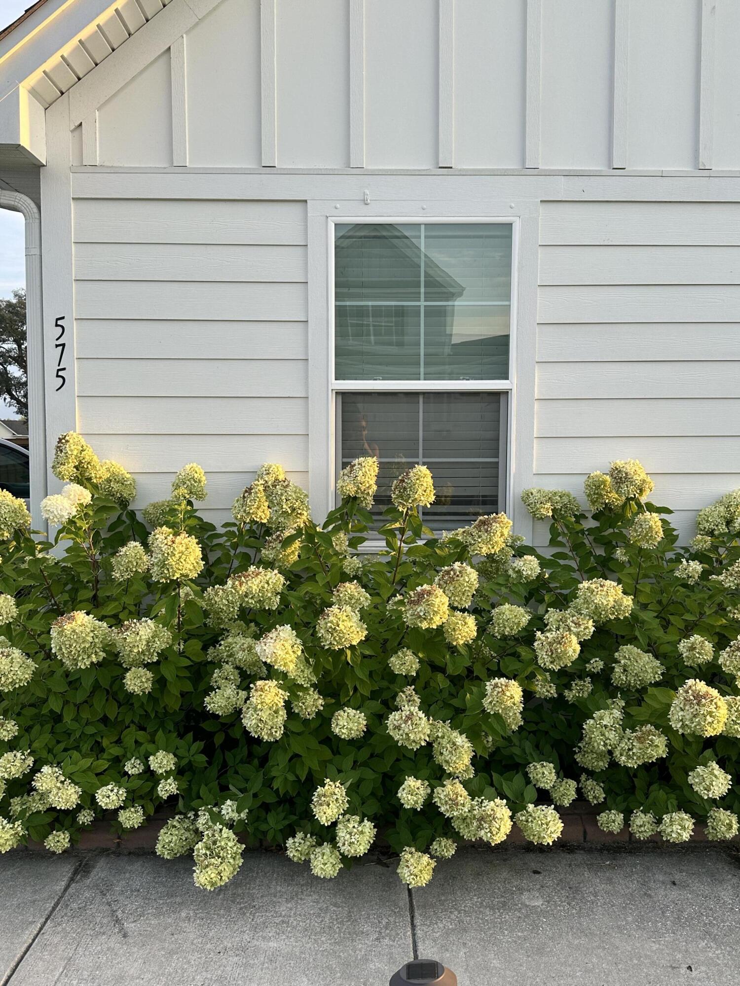 575 Pendleton Drive Moncks Corner, SC 29461 - Photo 56 of 58
