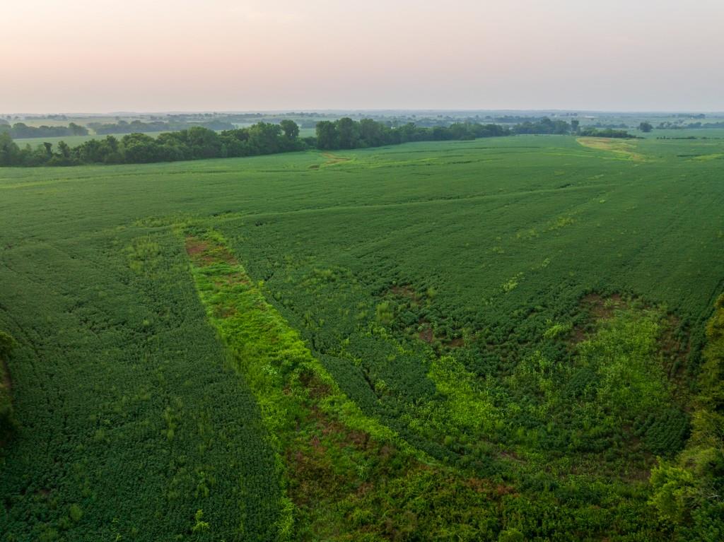 Tbd Southwest 1300 Road Chilhowee, MO 64733 - Photo 6 of 67 Gallery Image 6